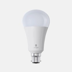 Daylight 15w LED Bulb (BC Cap)  - DS