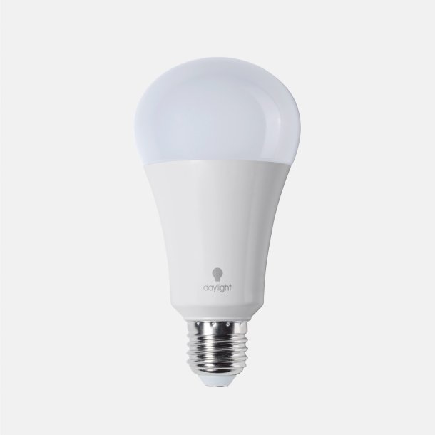 Daylight 15w LED Bulb