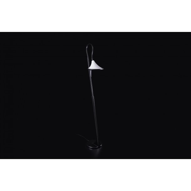 Cometa Floor Lamp