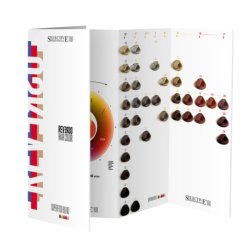 REVERSO COLOR CHART '23