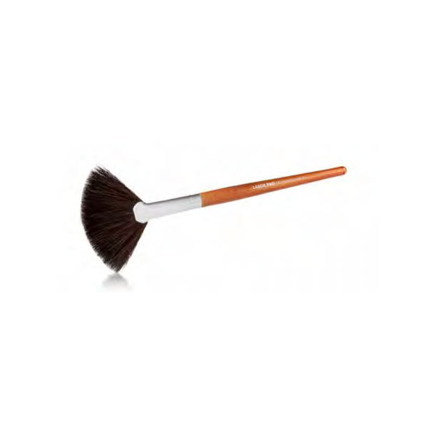 Fan brush