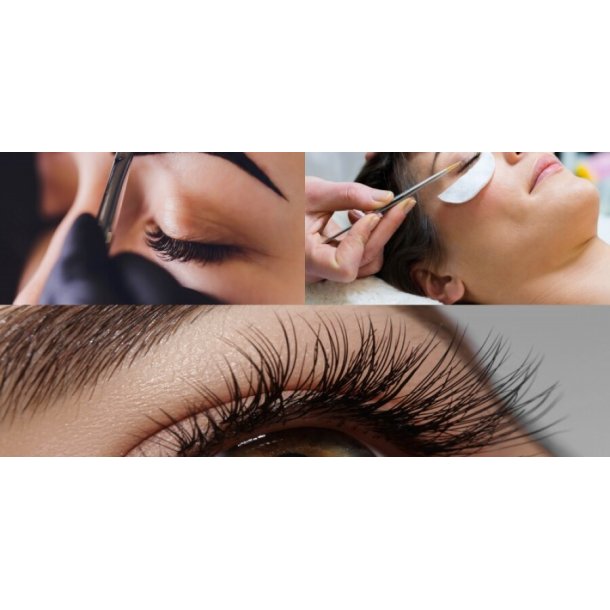 TILBUD - Brow OG lash kursus