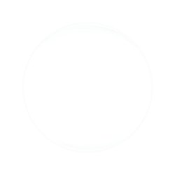 EOCC Spotlight 15 ml.